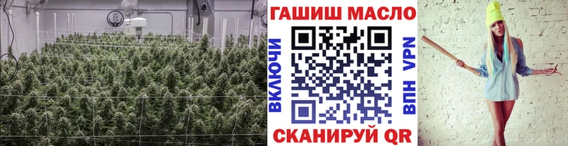 Купить где Энгельс Дистиллят ТГК THC oil