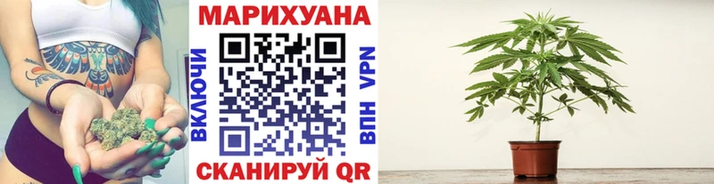 Купить закладки Энгельс Шишки марихуана Ganja